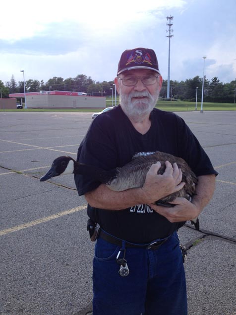 Arnie Hildebrand with a rescued goose