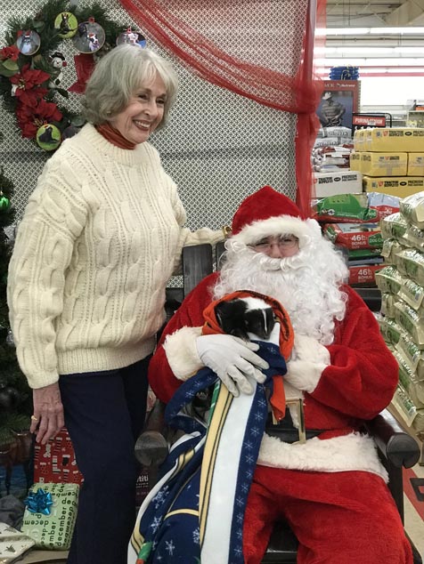 Pet skunk with Santa